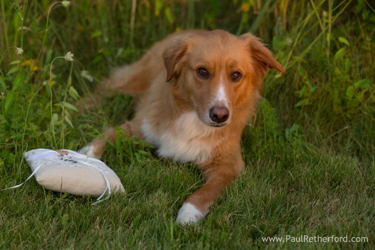 Engagement Photography East Park Bay Harbor Petoskey Michigan Photographer