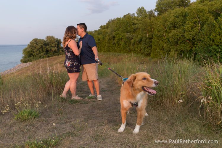 dog photo northern michigan engagement