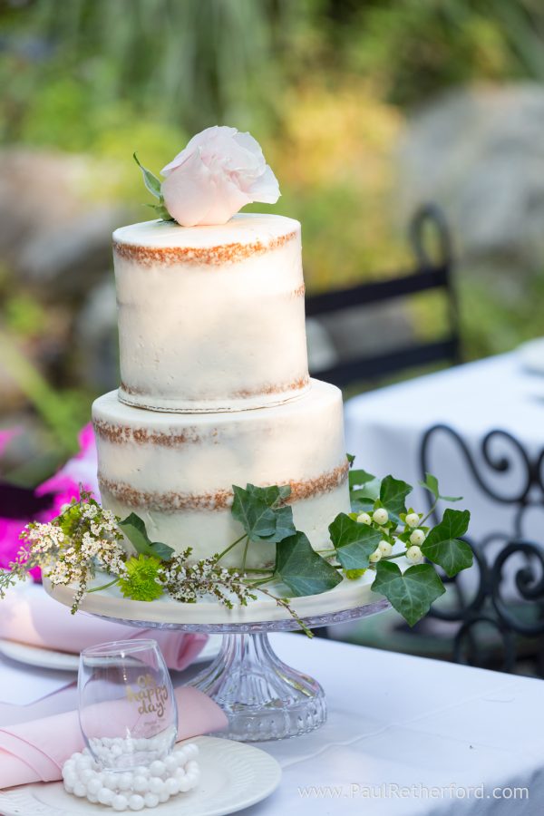 naked cake photo northern michigan