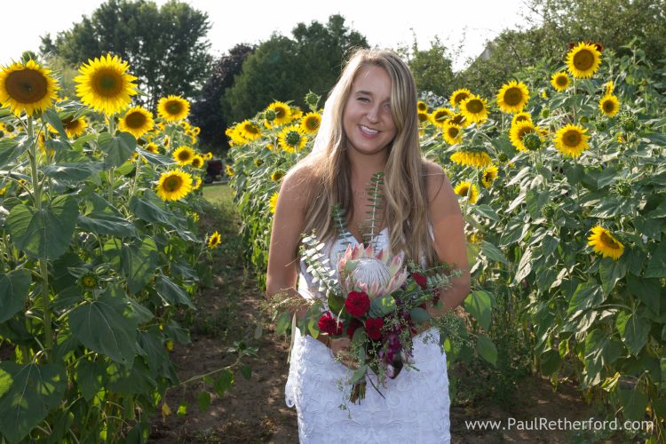 Mackinac Island Wedding Petoskey Michigan reception Photography