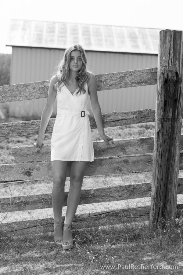 lavendar hill farm photo