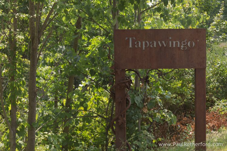 northern michigan tapawingo wedding photo