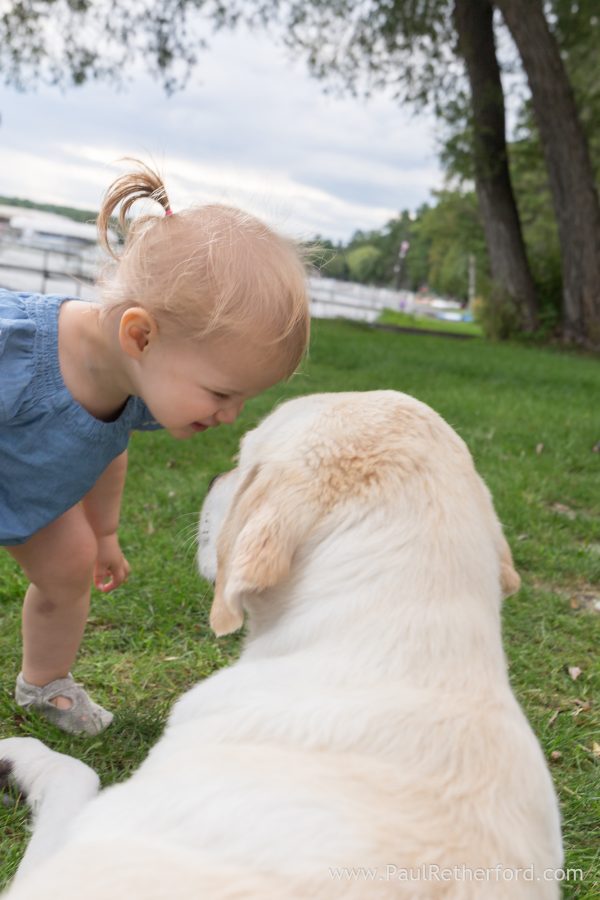 cute kid dog photo
