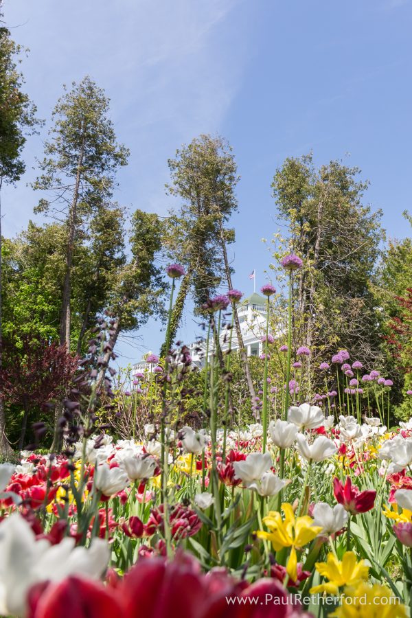grand hotel garden photo
