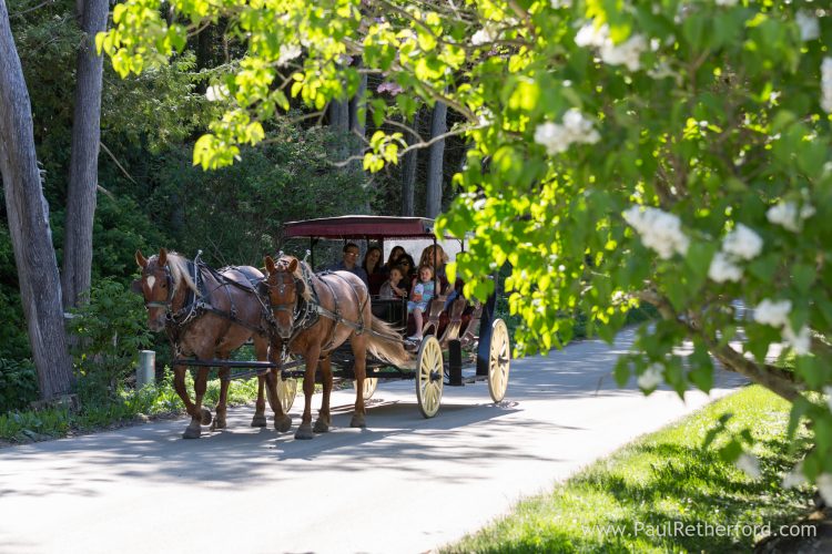 horse carriage mackinac island michigan photo
