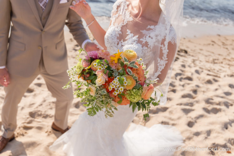 bloom floral flowers