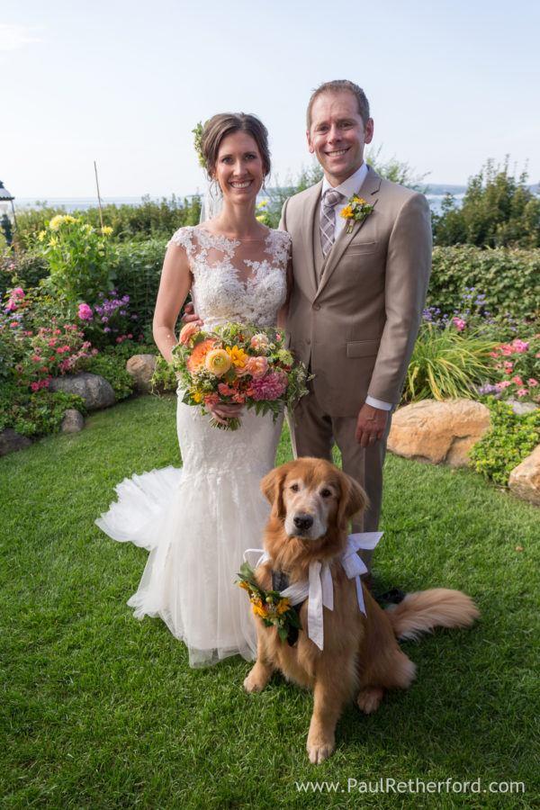 dog friendly wedding perry hotel