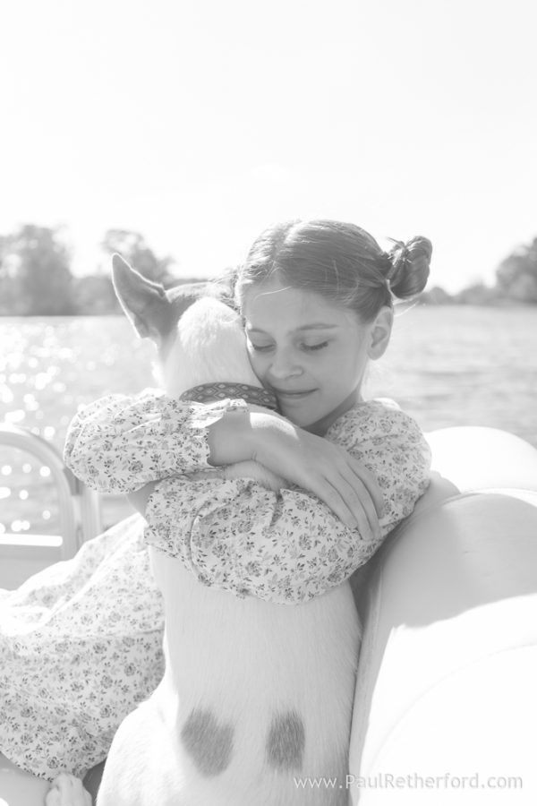 pet photographer michigan photo