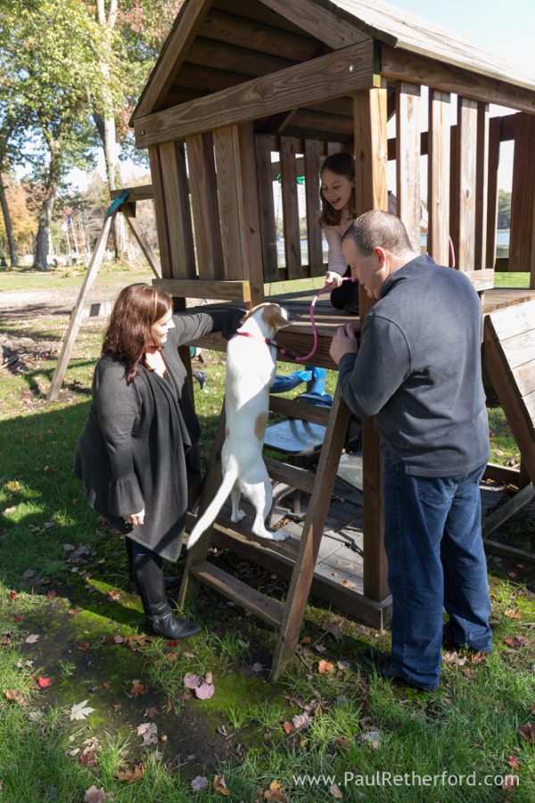 dog climbing playground photo