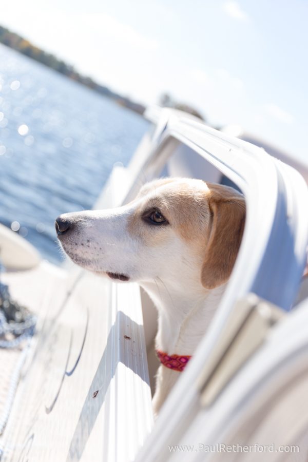 Southern Michigan family photography lake house 