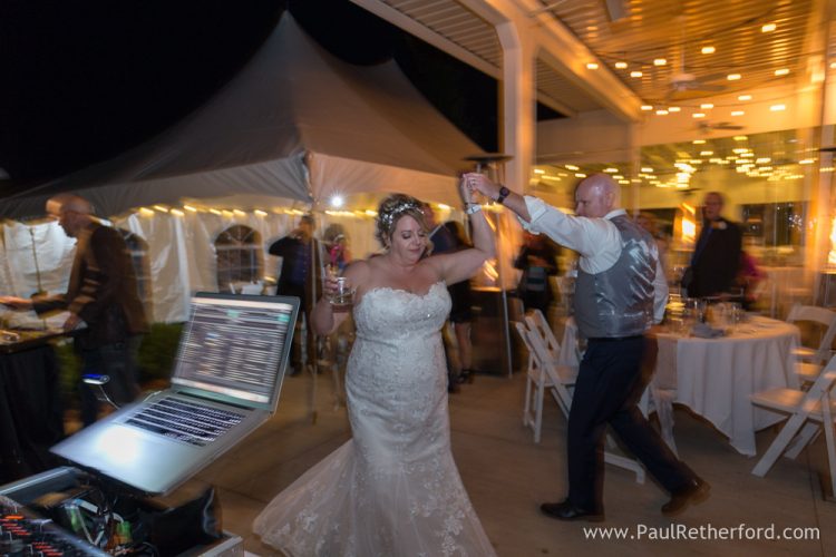 wiser productions inc dj michigan