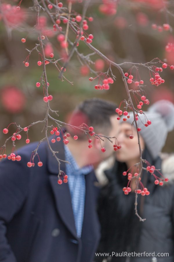 fall engagement petoskey michigan photo