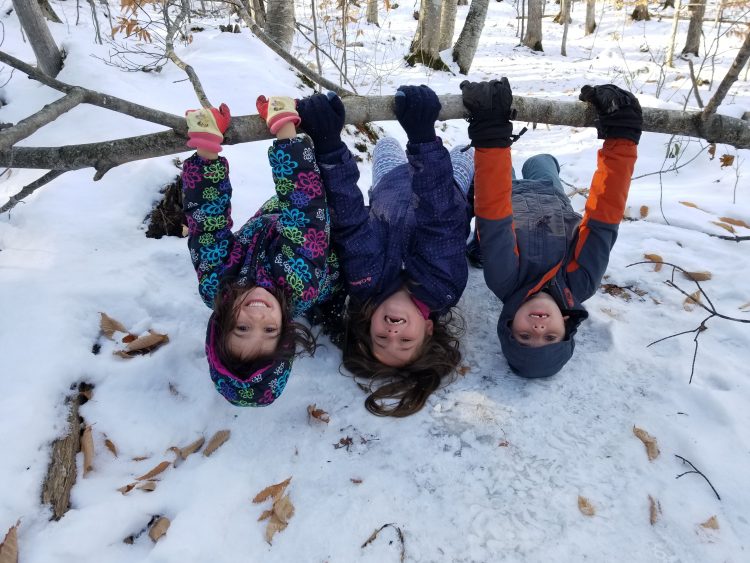 Merry Christmas Happy Holidays Happy New Year Michigan