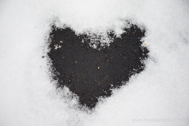 Northern Michigan alternative Wedding story by Paul Retherford