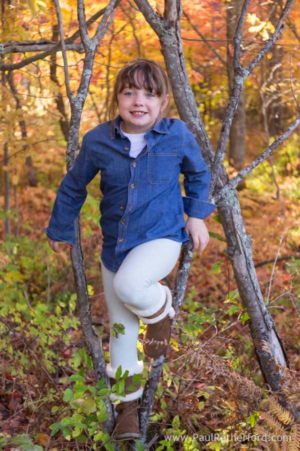 Harbor Springs family photography fall Offield nature reserve
