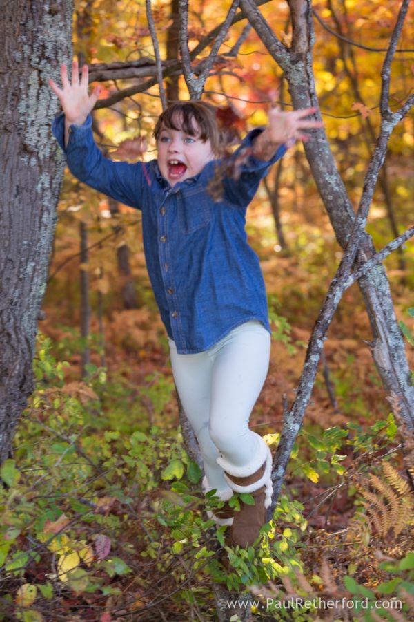 Harbor Springs family photography fall Offield nature reserve
