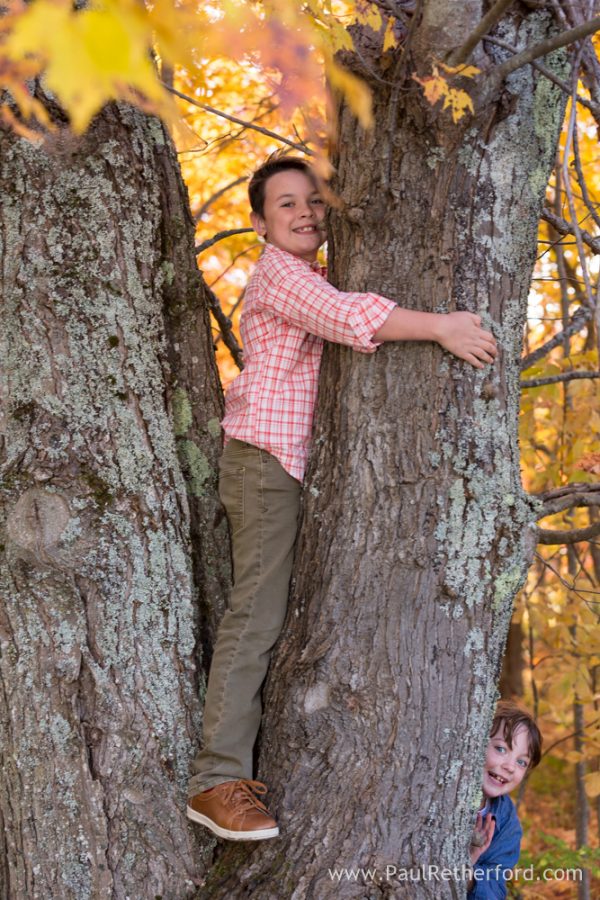 Harbor Springs family photography fall Offield nature reserve
