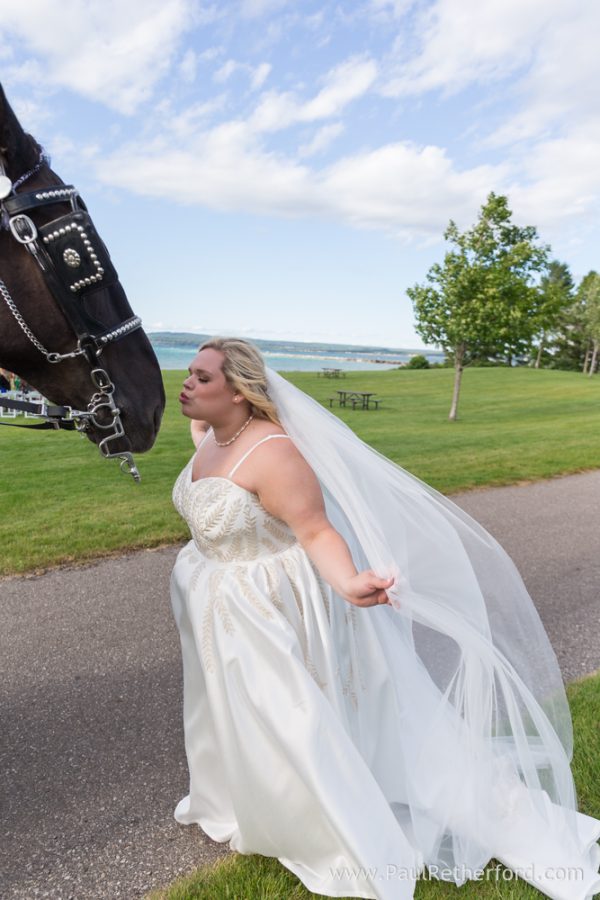 Bay View Terrace Inn Petoskey Bayfront Park West Wedding Photography