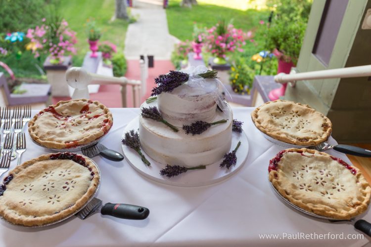 Bay View Terrace Inn Petoskey Bayfront Park West Wedding Photography