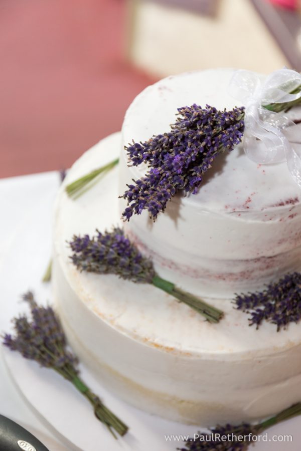 Bay View Terrace Inn Petoskey Bayfront Park West Wedding Photography