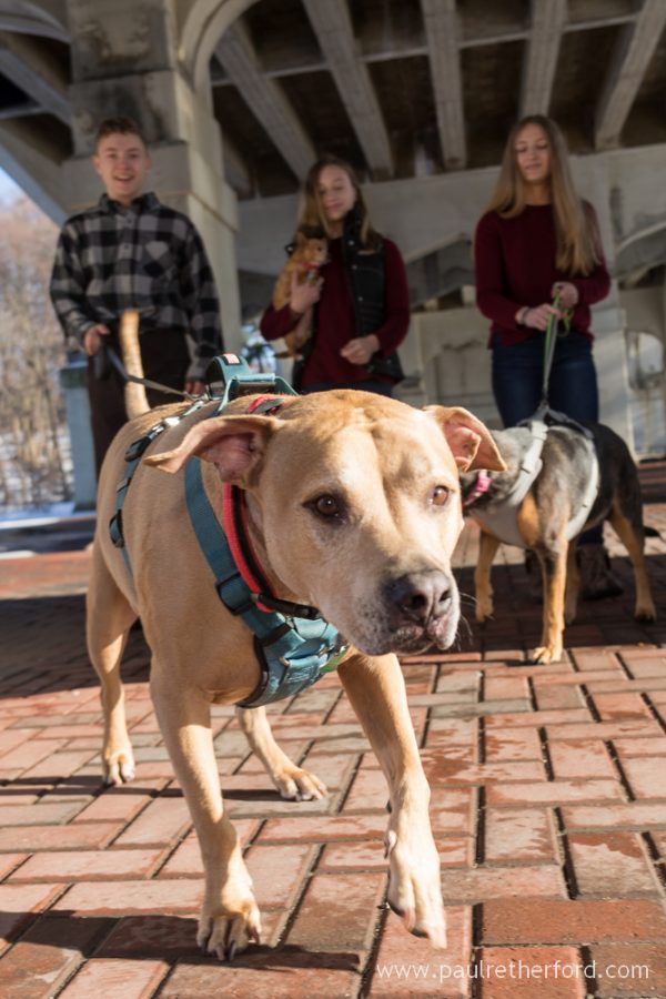 Family Photography winter Bayfront park Petoskey Michigan