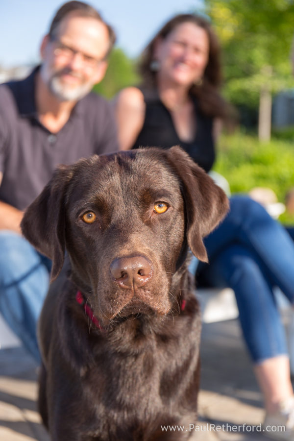 Bay Harbor Northern Michigan family photography Petoskey