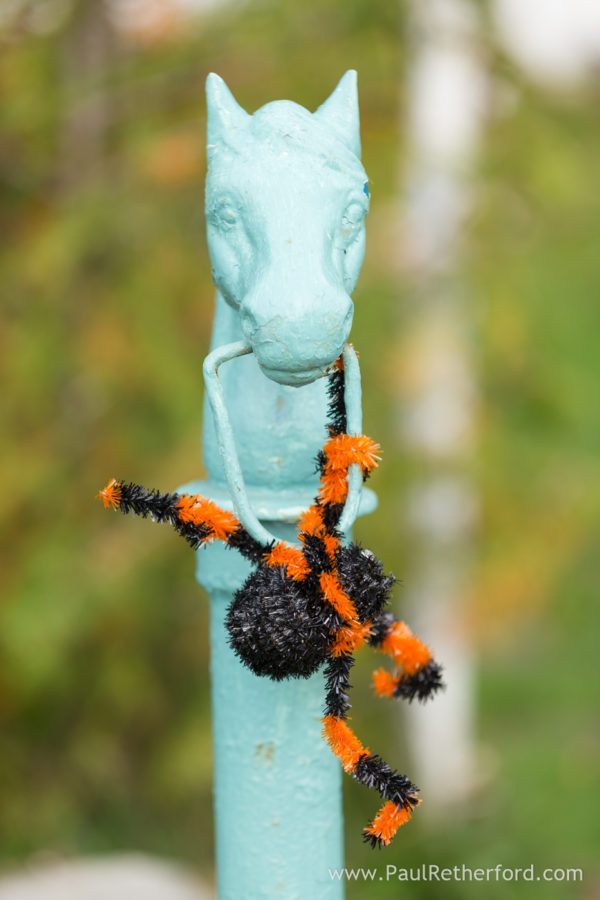 Mackinac Island Historic Somewhere in Time Wedding Photography