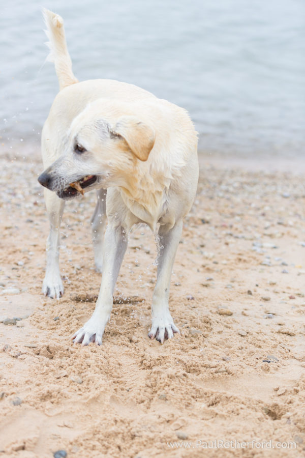Harbor Springs family photography Lake Michigan shoreline outdoor photo