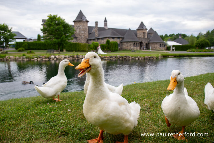 Castle Farms Wedding Photography Northern Michigan