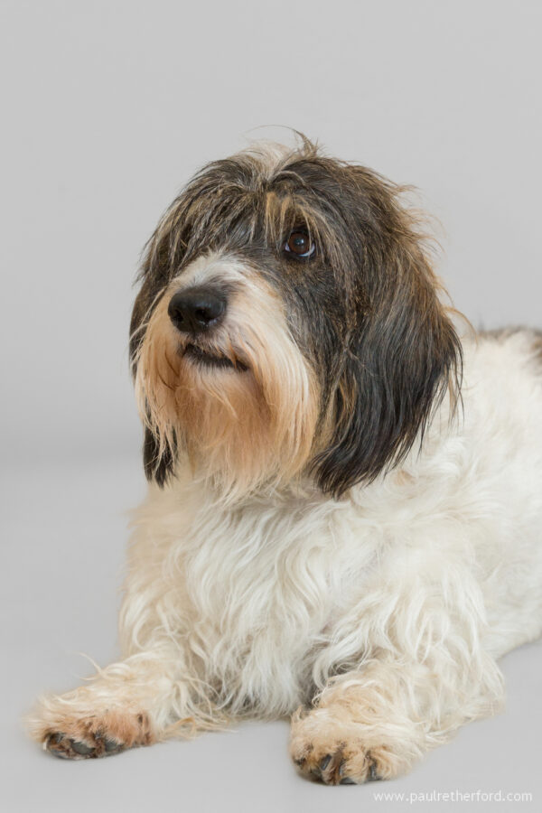 Headshots Northern Michigan Harbor Springs Paul Retherford Photography