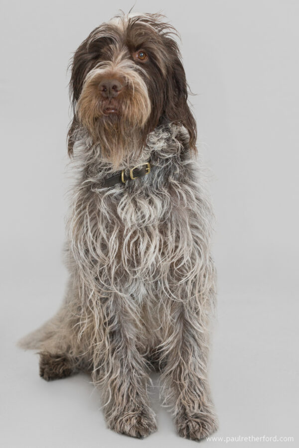 Headshots Northern Michigan Harbor Springs Paul Retherford Photography