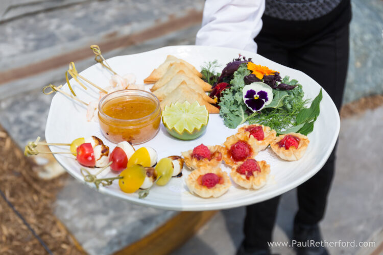 Northern Michigan Burt Lake wedding photography intimate private event