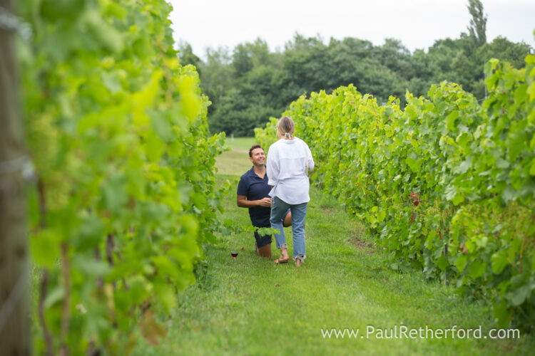 Aurora Cellars Leelanau Northern Michigan Surprise Engagement Wedding Photography