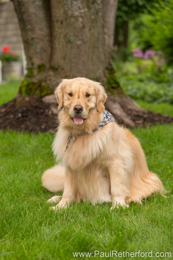 Walloon Lake family photography Northern Michigan