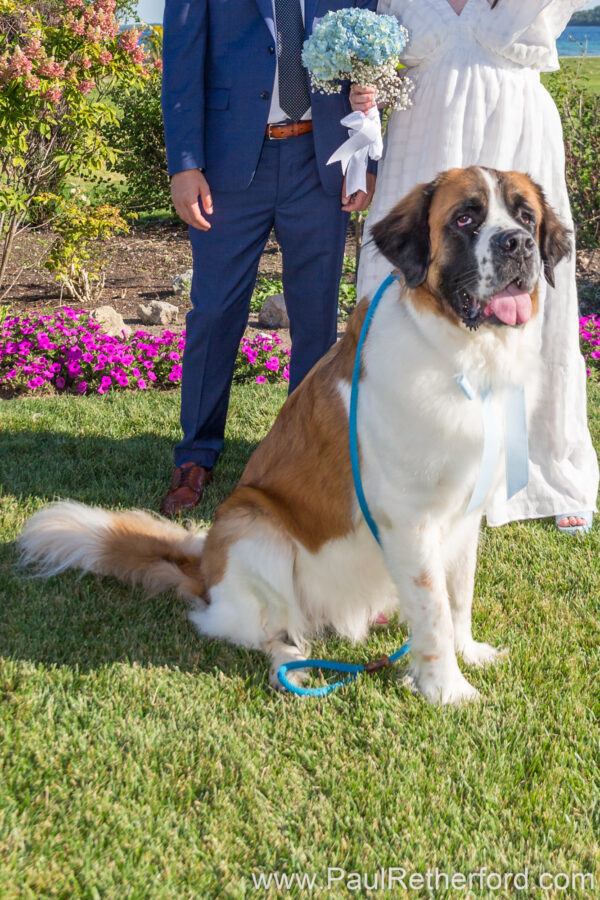 Mackinac Island Mission Point Resort Wedding