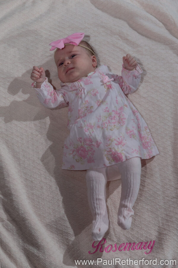 Winter Family Indoor Photography Northern Michigan