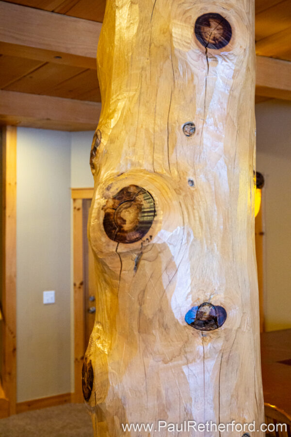 Winter Real Estate Photography Log Home