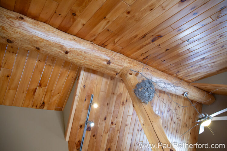 Winter Real Estate Photography Log Home