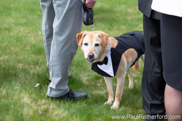 Cinco de Mayo Wedding Petoskey Michigan