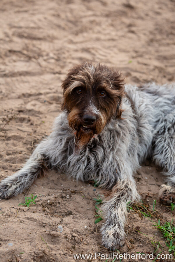 Northern Michigan Senior Photography Session