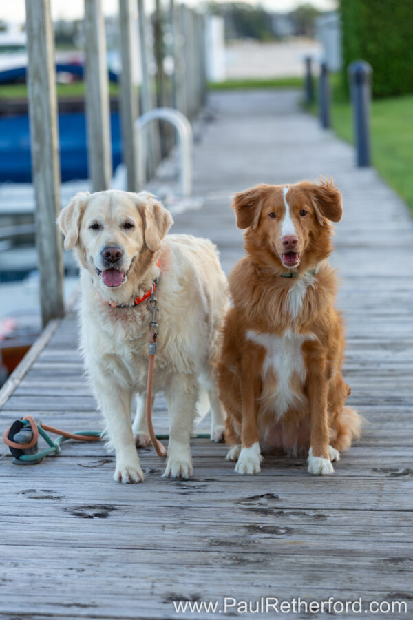 Harbor Springs Family Photography