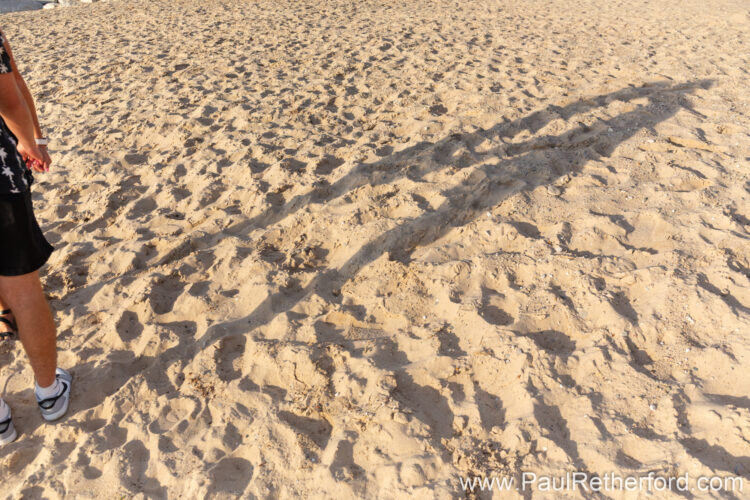 Charlevoix Northern Michigan Engagement Photography
