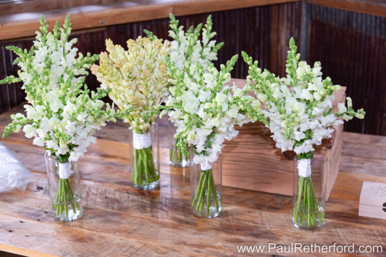 Charlevoix Michigan Shanahans Barn Wedding Photography